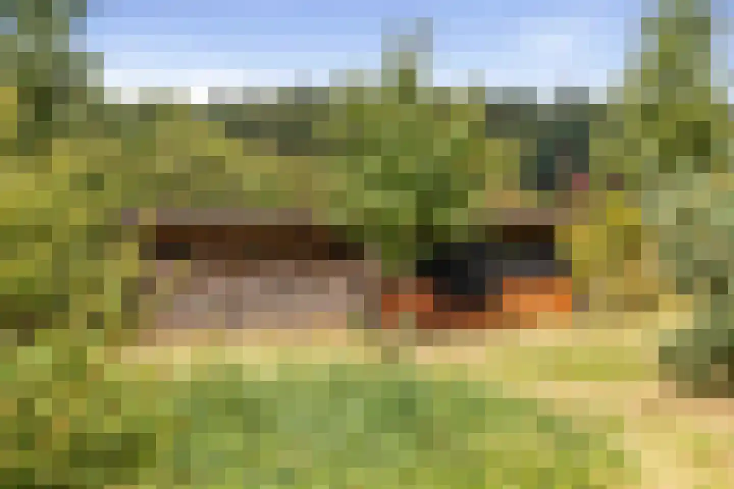 Wethouder M. van Doorninckweg 19 Wesepe thumbnail 66