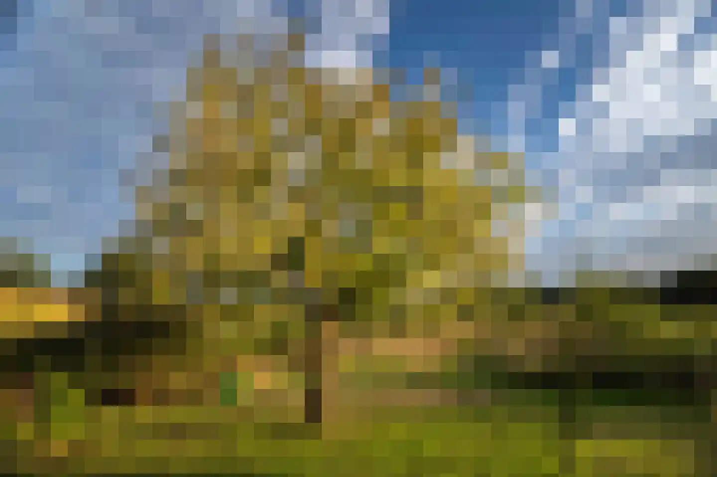 Wethouder M. van Doorninckweg 19 Wesepe thumbnail 69