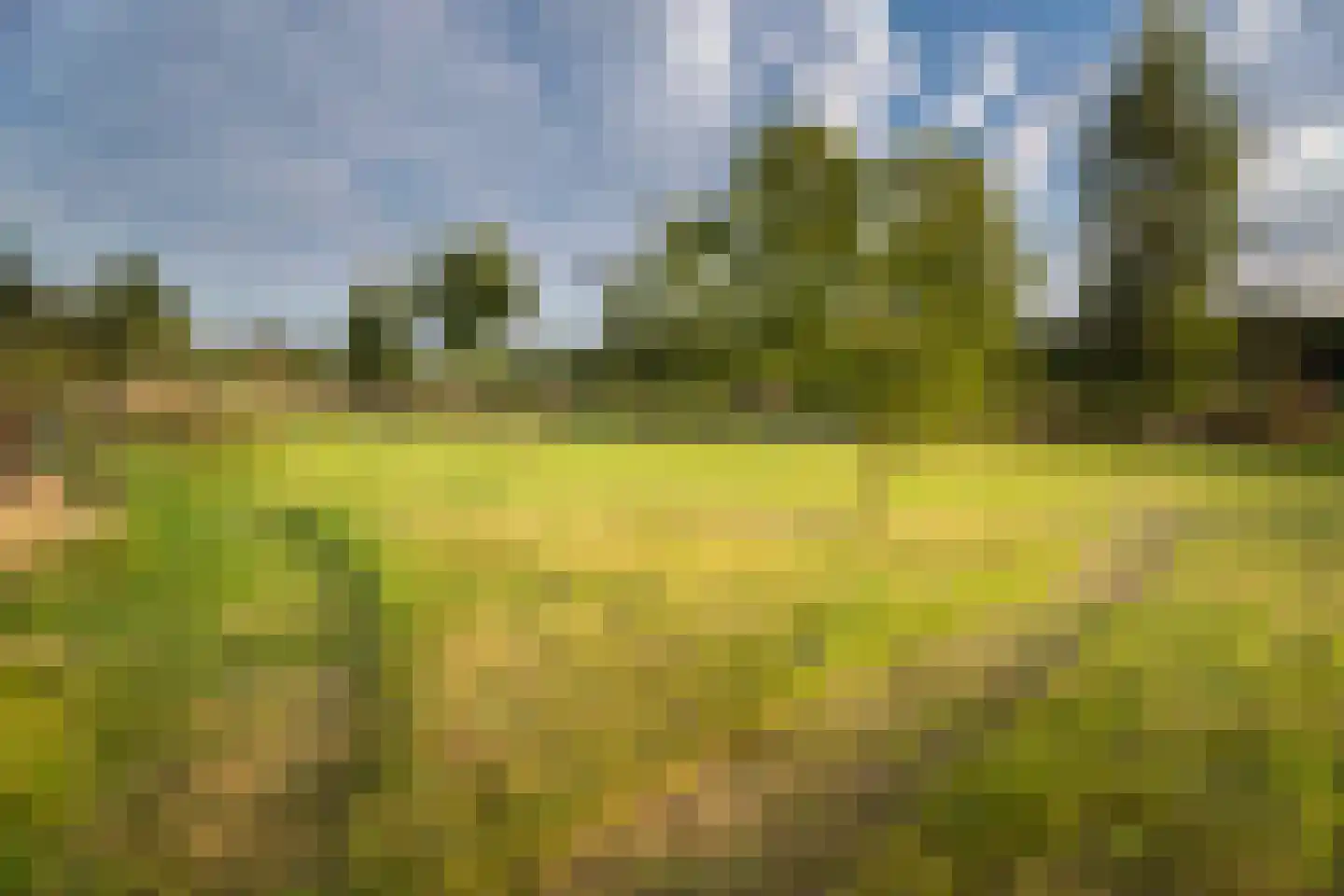 Wethouder M. van Doorninckweg 19 Wesepe thumbnail 74