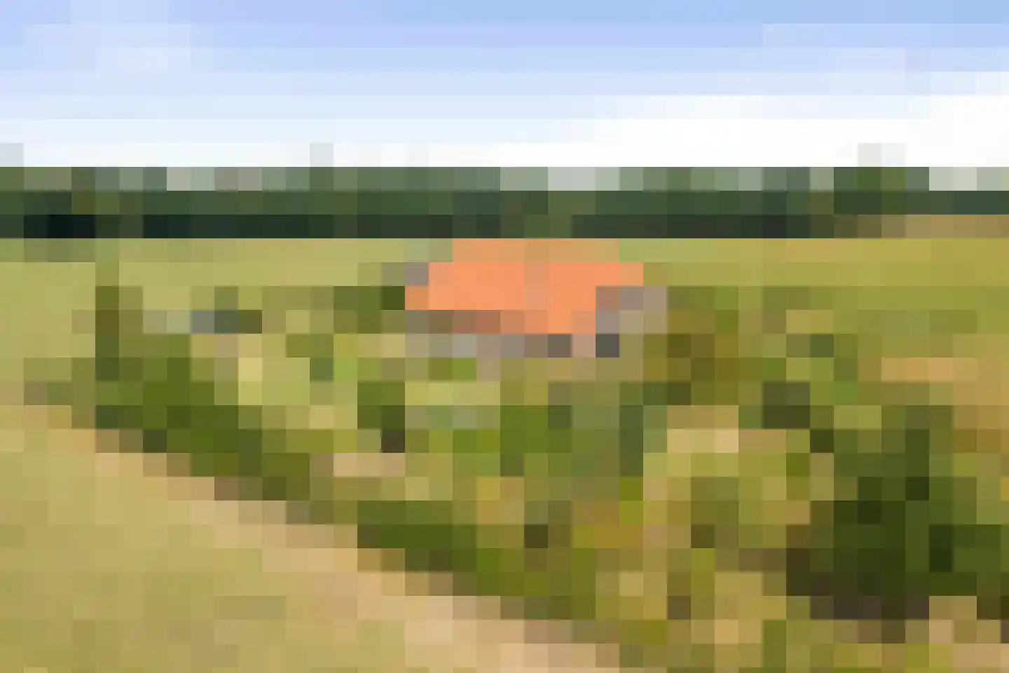 Wethouder M. van Doorninckweg 19 Wesepe thumbnail 8