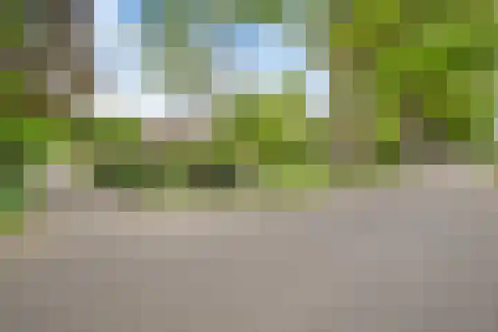 Wethouder M. van Doorninckweg 21 Wesepe thumbnail 11