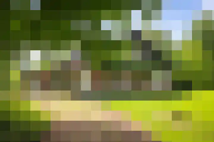 Wethouder M. van Doorninckweg 23 in Wesepe