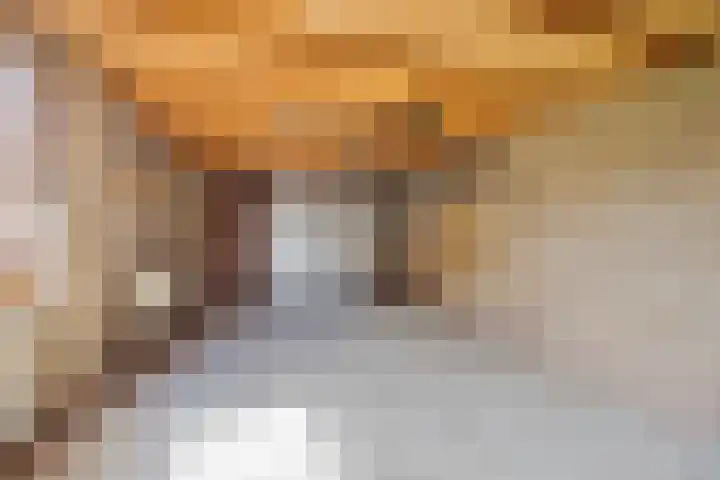 Wethouder Massinkstraat 3 Toldijk thumbnail 30