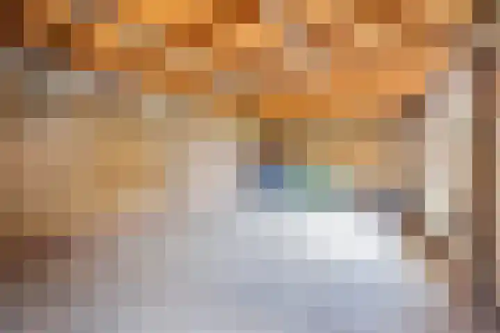 Wethouder Massinkstraat 3 Toldijk thumbnail 31