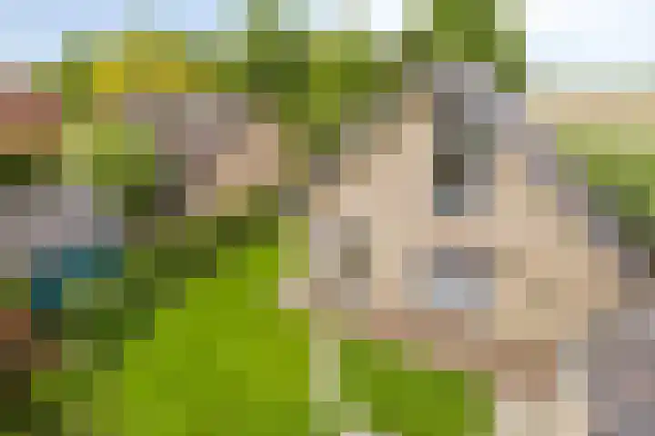 Wethouder Massinkstraat 3 Toldijk thumbnail 32
