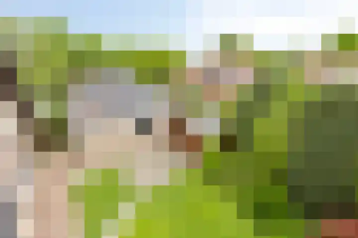 Wethouder Massinkstraat 3 Toldijk thumbnail 33