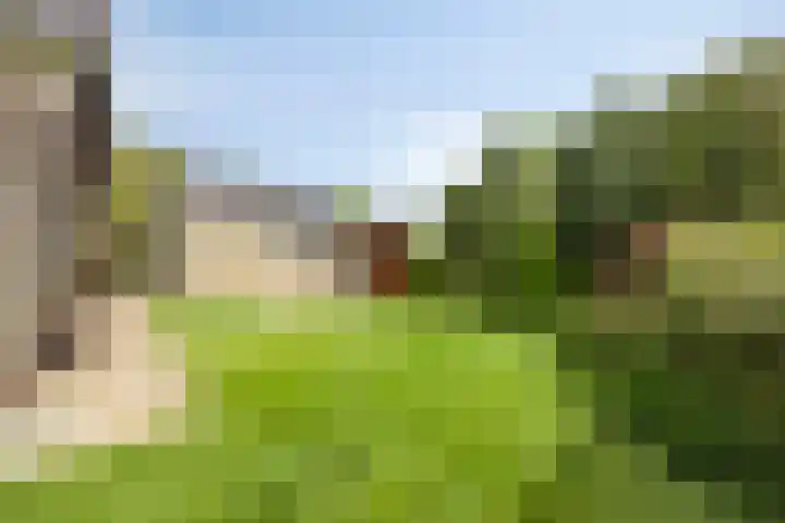 Wethouder Massinkstraat 3 Toldijk thumbnail 34