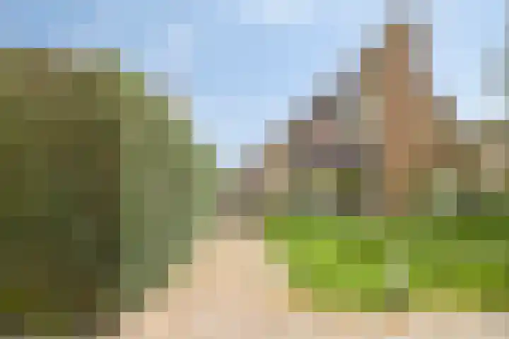 Wethouder Massinkstraat 3 Toldijk thumbnail 38