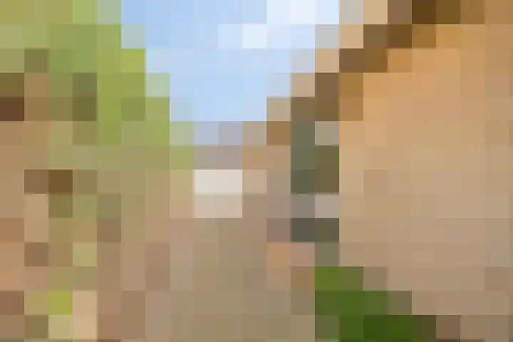 Wethouder Massinkstraat 3 Toldijk thumbnail 39