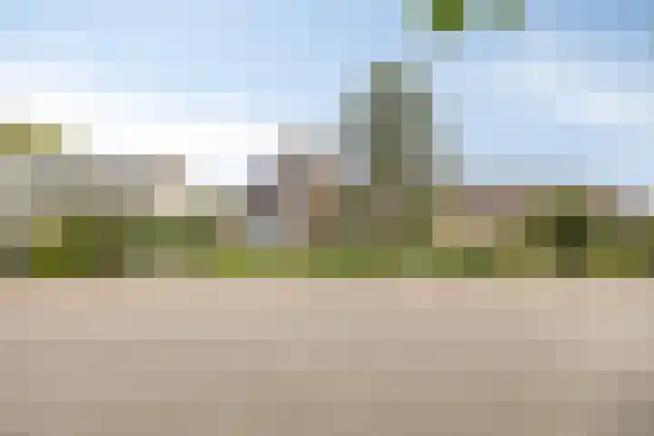 Wethouder Massinkstraat 3 Toldijk thumbnail 42