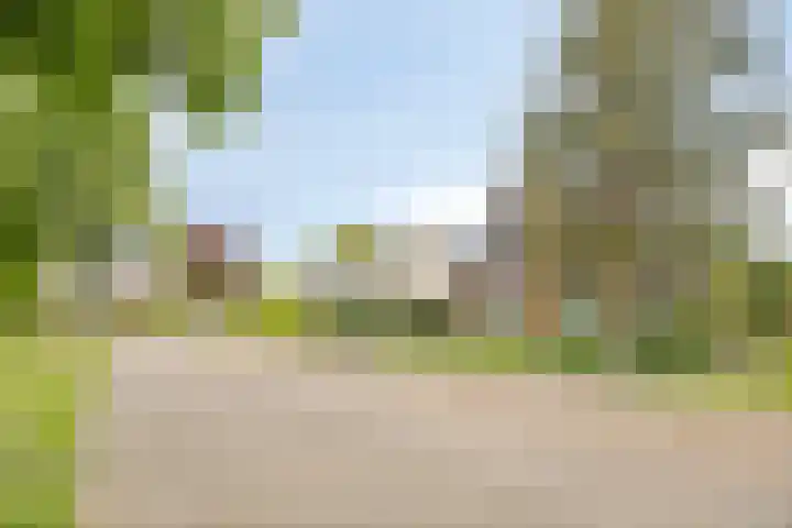 Wethouder Massinkstraat 3 Toldijk thumbnail 43