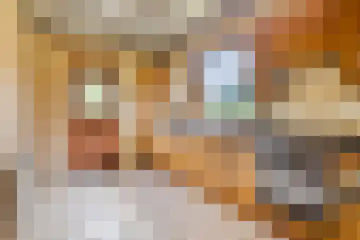 Wethouder Massinkstraat 3 Toldijk thumbnail 7