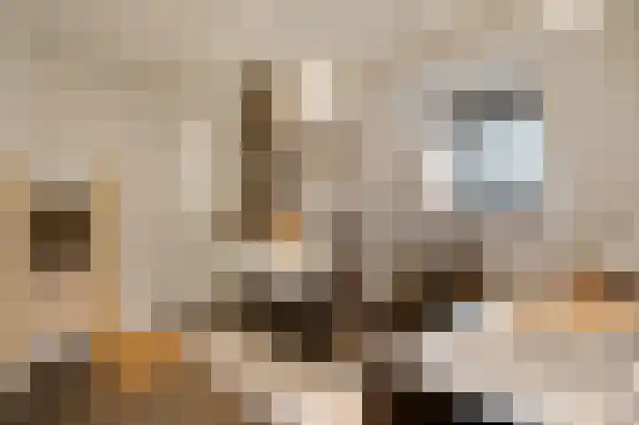 Wethouder Meertensstraat 9 Berg en Terblijt thumbnail 15