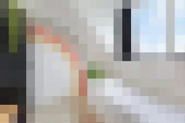 Wethouder Nasslaan 15 Groessen thumbnail 38