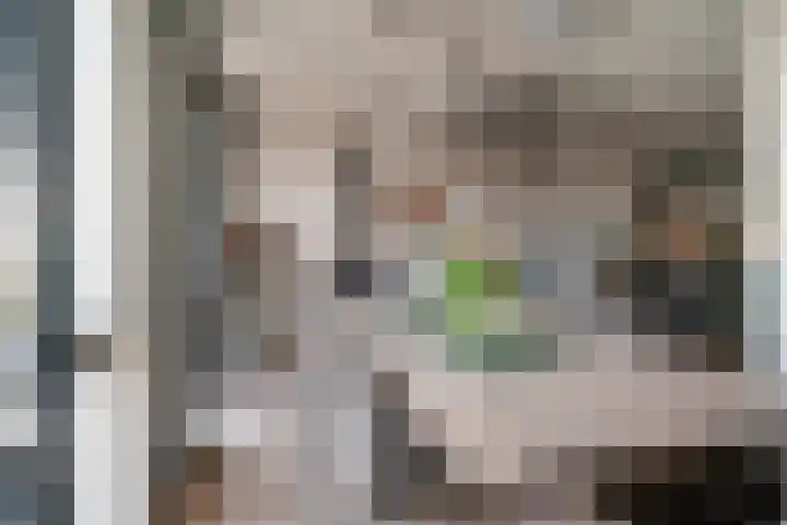 Wethouder Nasslaan 19 Groessen thumbnail 18