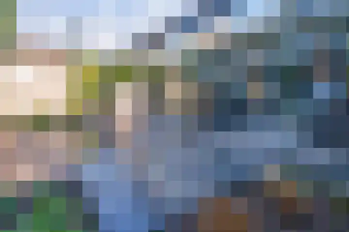 Wethouder Nasslaan 19 Groessen thumbnail 4