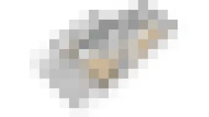 Wethouder Nasslaan 19 Groessen thumbnail 58