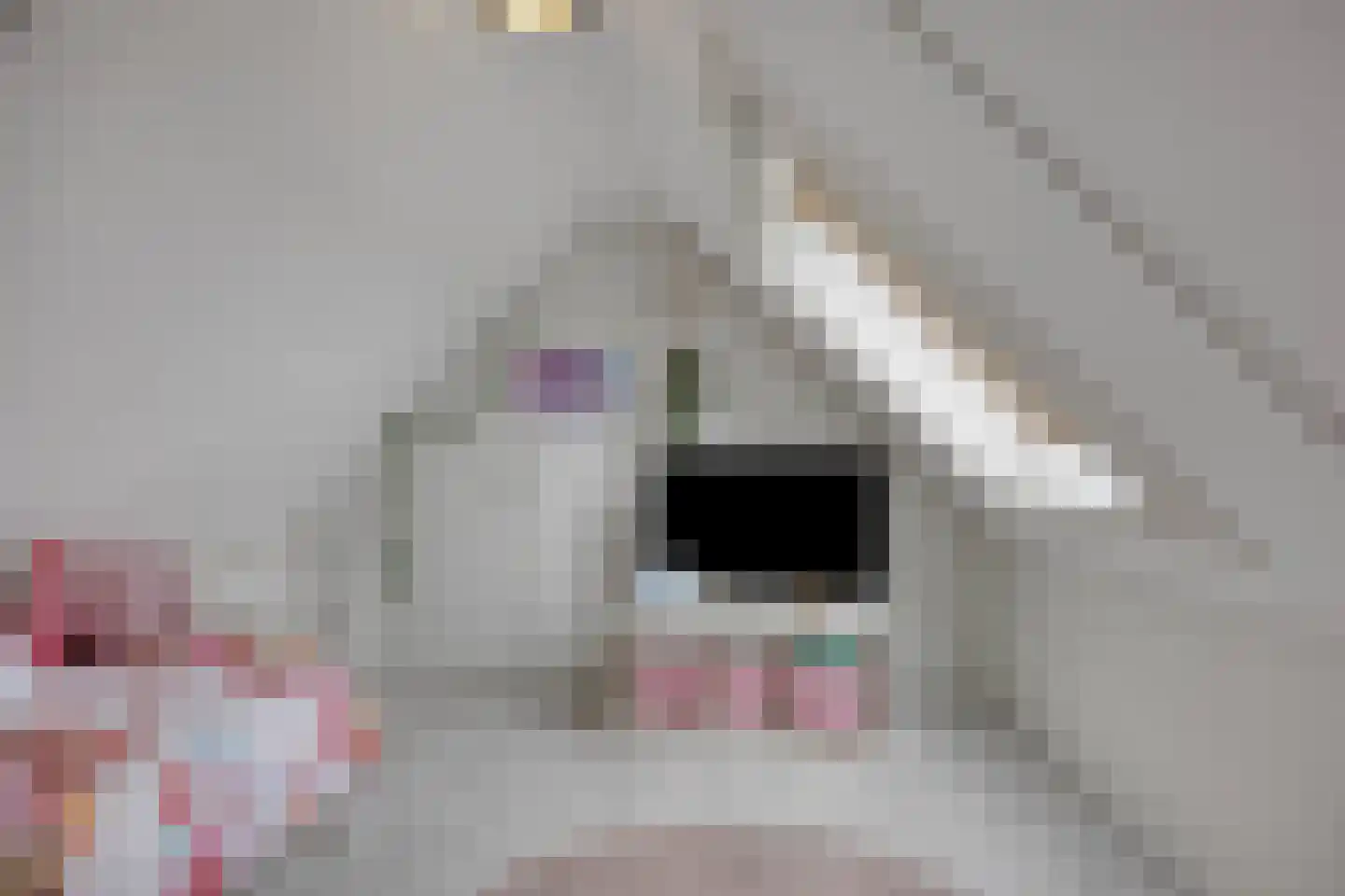 Wethouder Nasslaan 25 Groessen thumbnail 33