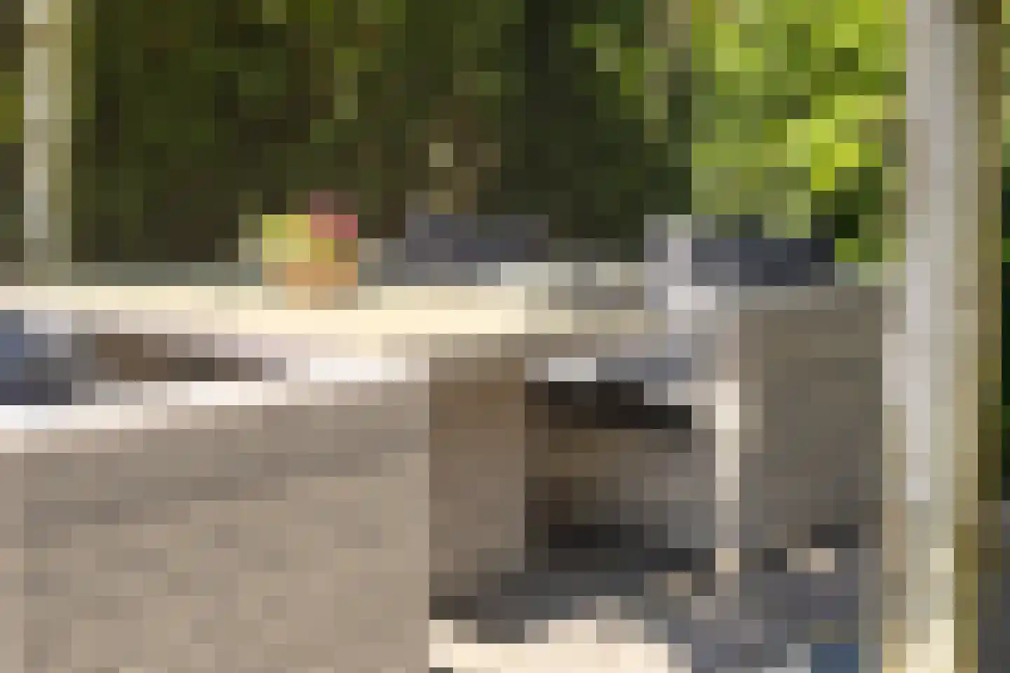 Wethouder Nasslaan 25 Groessen thumbnail 39