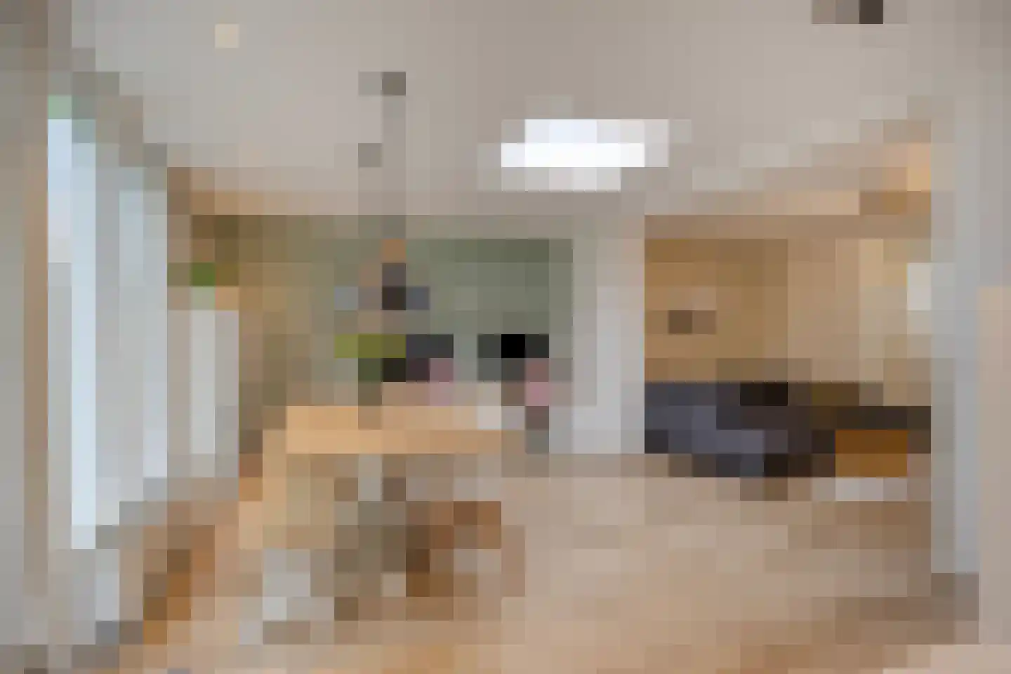 Wethouder Nasslaan 25 Groessen thumbnail 4