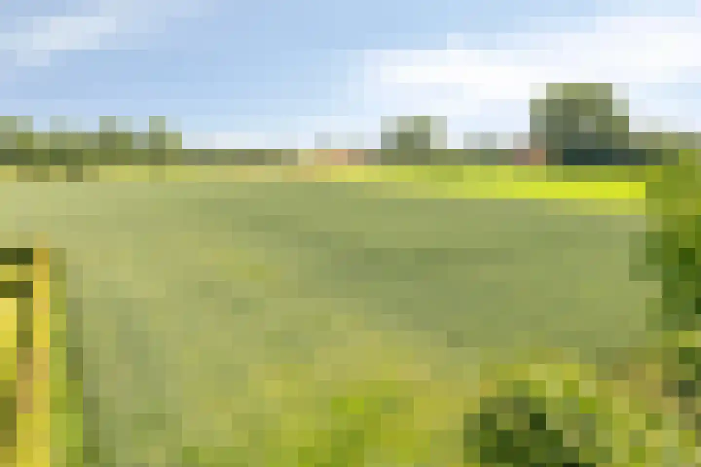 Wethouder Nasslaan 25 Groessen thumbnail 56