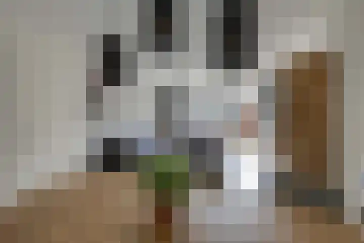 Wethouder Nasslaan 61 Groessen thumbnail 22