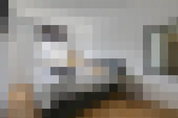 Wethouder Nasslaan 61 Groessen thumbnail 27