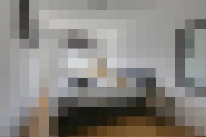 Wethouder Nasslaan 61 Groessen thumbnail 28