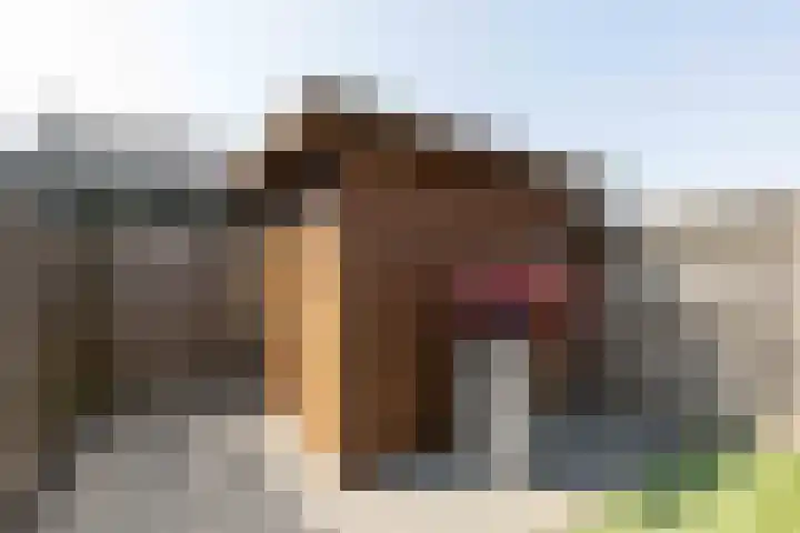 Wethouder Nasslaan 61 Groessen thumbnail 56