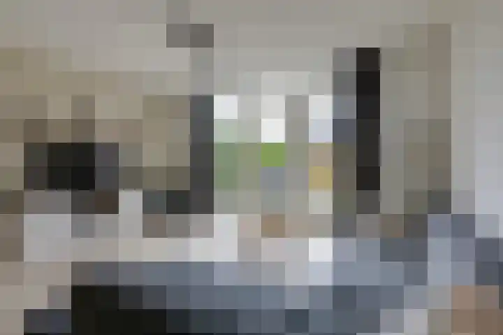 Wethouder Nasslaan 65 Groessen thumbnail 15