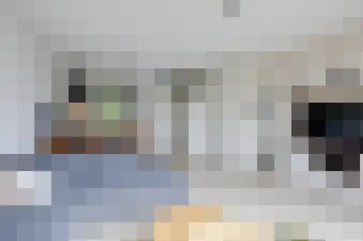 Wethouder Nasslaan 65 Groessen thumbnail 18