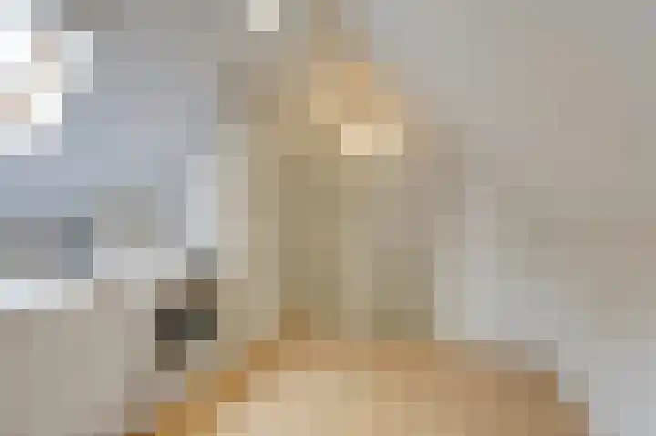 Wethouder Nasslaan 65 Groessen thumbnail 42
