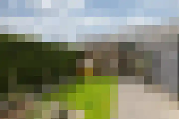 Wethouder Nasslaan 65 Groessen thumbnail 47