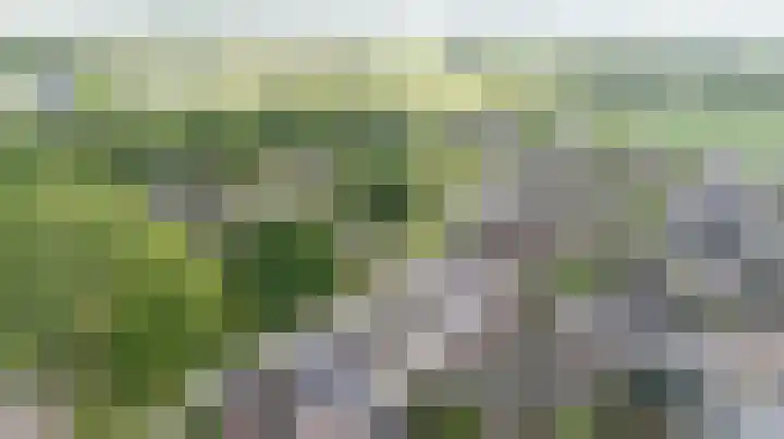 Wethouder Nasslaan 65 Groessen thumbnail 57