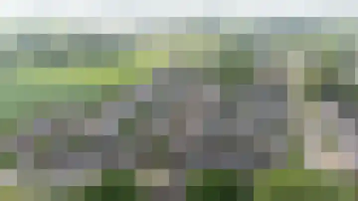 Wethouder Nasslaan 65 Groessen thumbnail 58