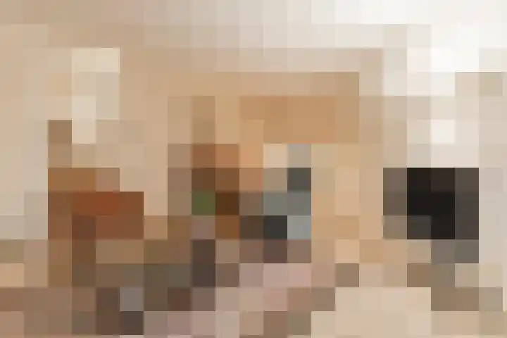 Wethouder Noijhof 5 Rijen thumbnail 10
