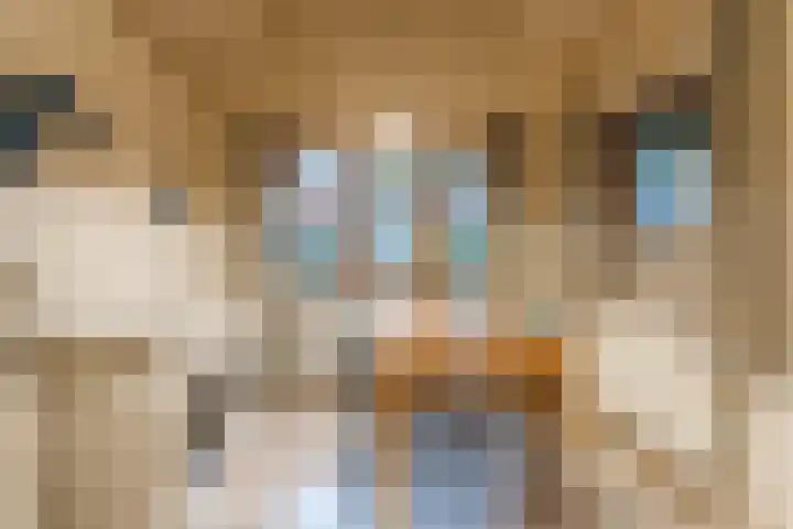 Wethouder Noijhof 5 Rijen thumbnail 16