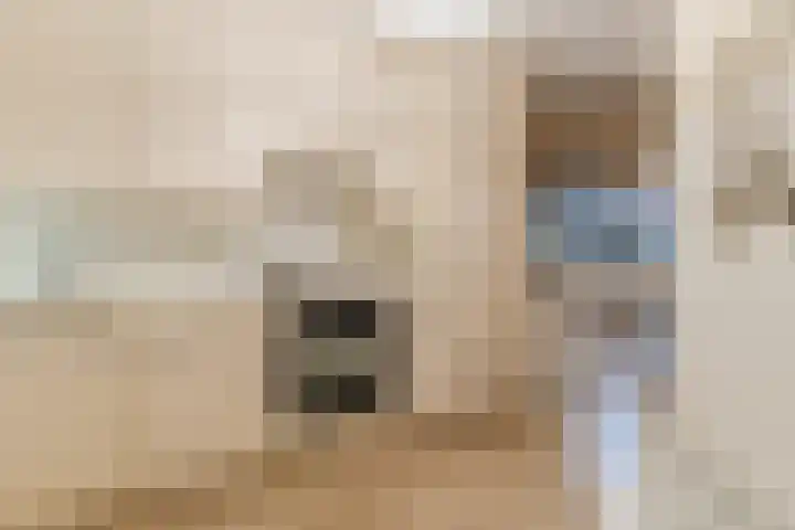 Wethouder Noijhof 5 Rijen thumbnail 18