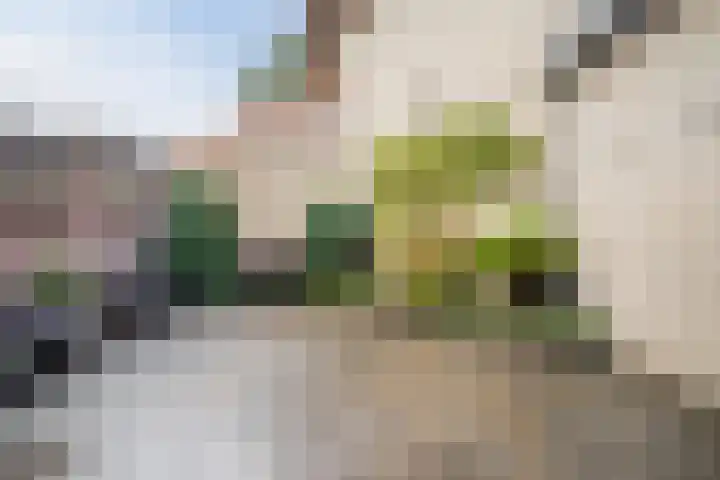 Wethouder Noijhof 5 Rijen thumbnail 25