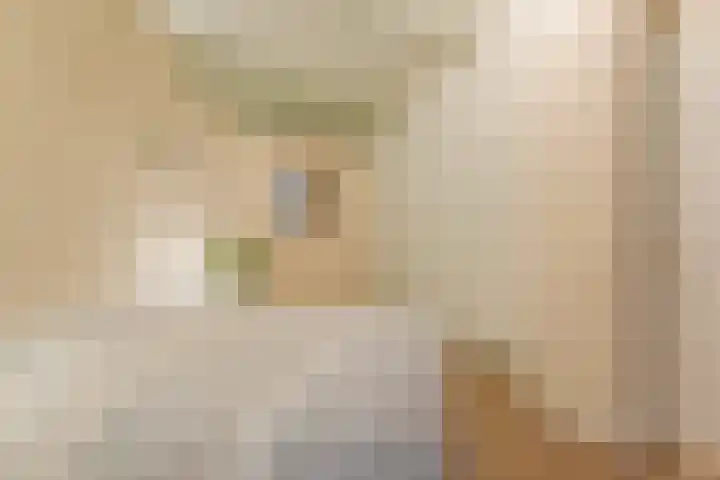 Wethouder Noijhof 5 Rijen thumbnail 31