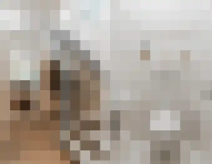 Wethouder Noijhof 5 Rijen thumbnail 6