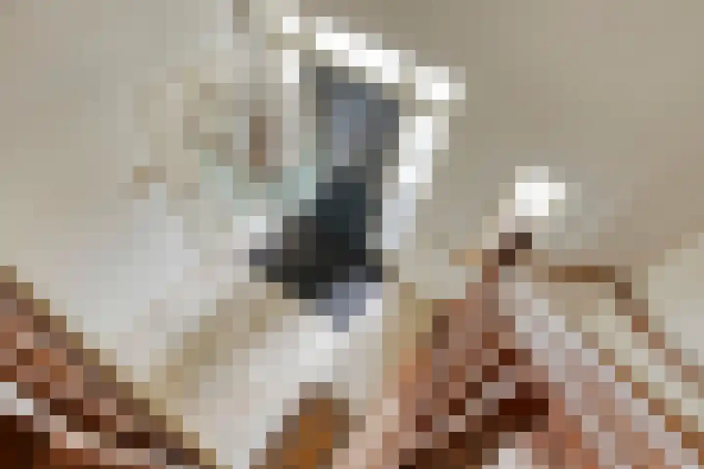 Wethouder Noordamweg 1 Maarn thumbnail 24