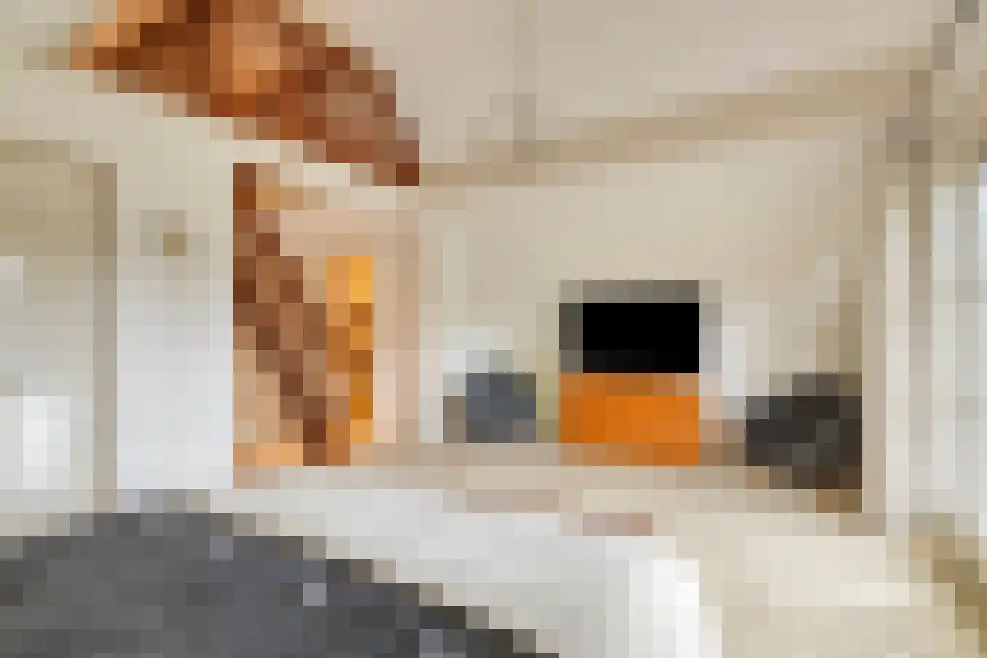 Wethouder Noordamweg 1 Maarn thumbnail 27