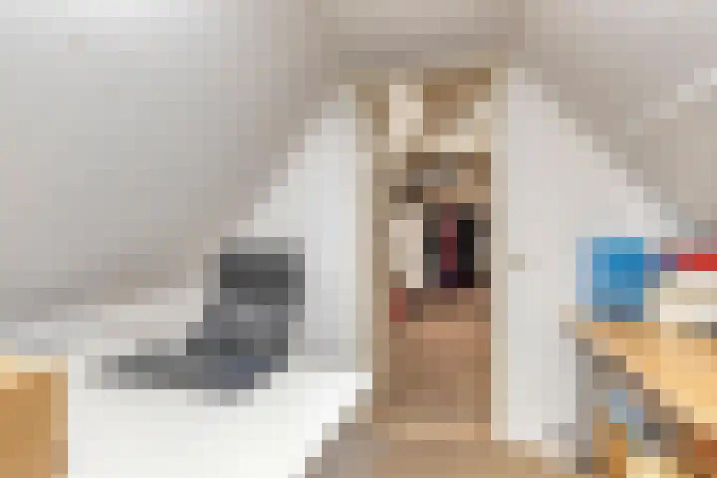 Wethouder Noordamweg 1 Maarn thumbnail 41