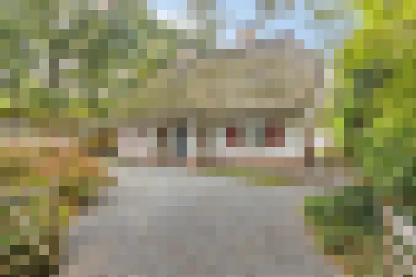 Wethouder Noordamweg 1 Maarn thumbnail 5