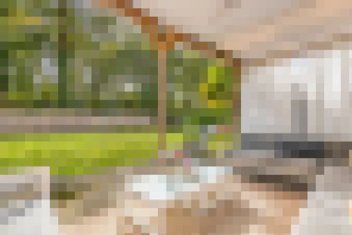 Wethouder Noordamweg 1 Maarn thumbnail 50