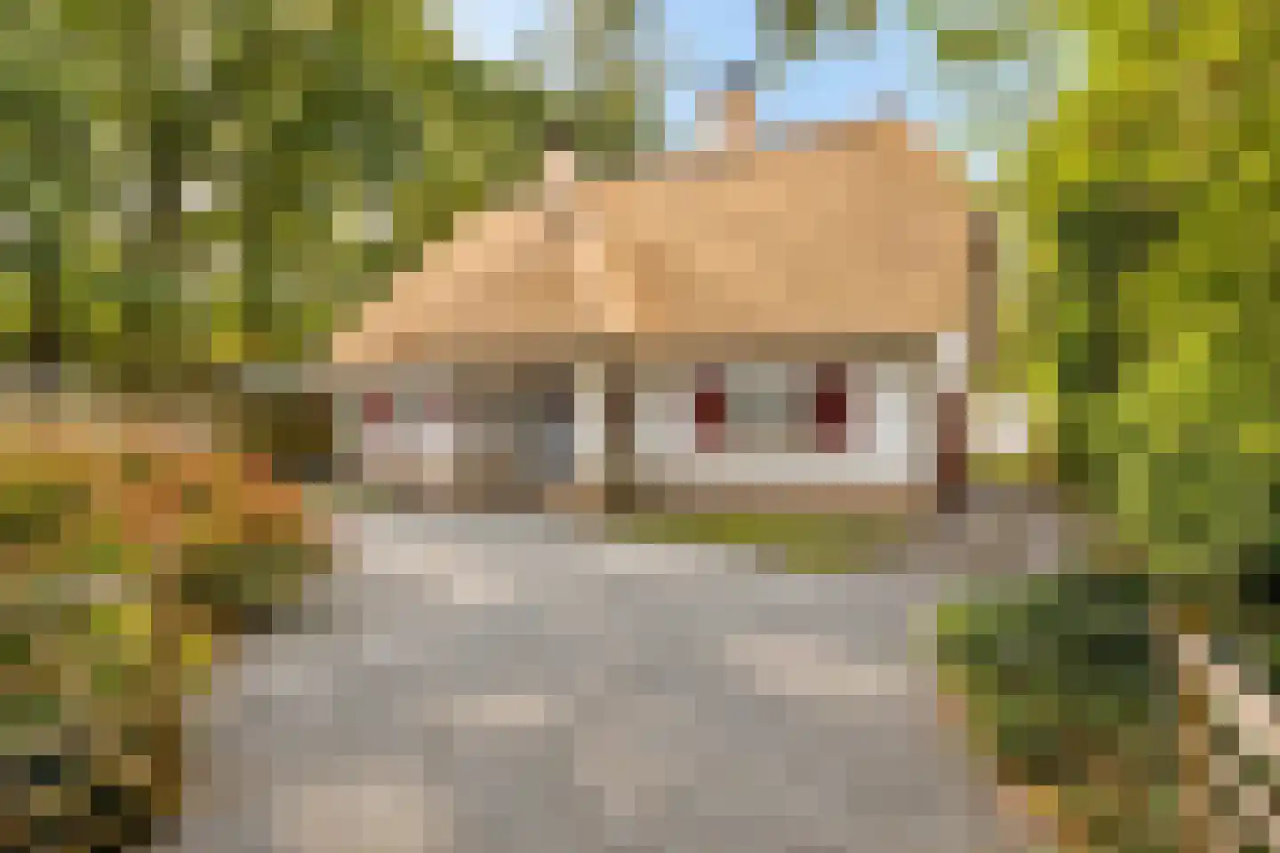 Wethouder Noordamweg 1 Maarn thumbnail 6
