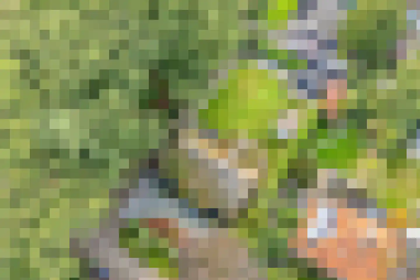 Wethouder Noordamweg 1 Maarn thumbnail 60