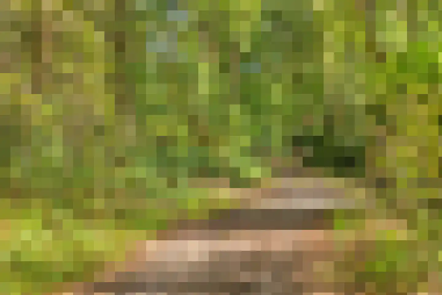 Wethouder Noordamweg 1 Maarn thumbnail 61