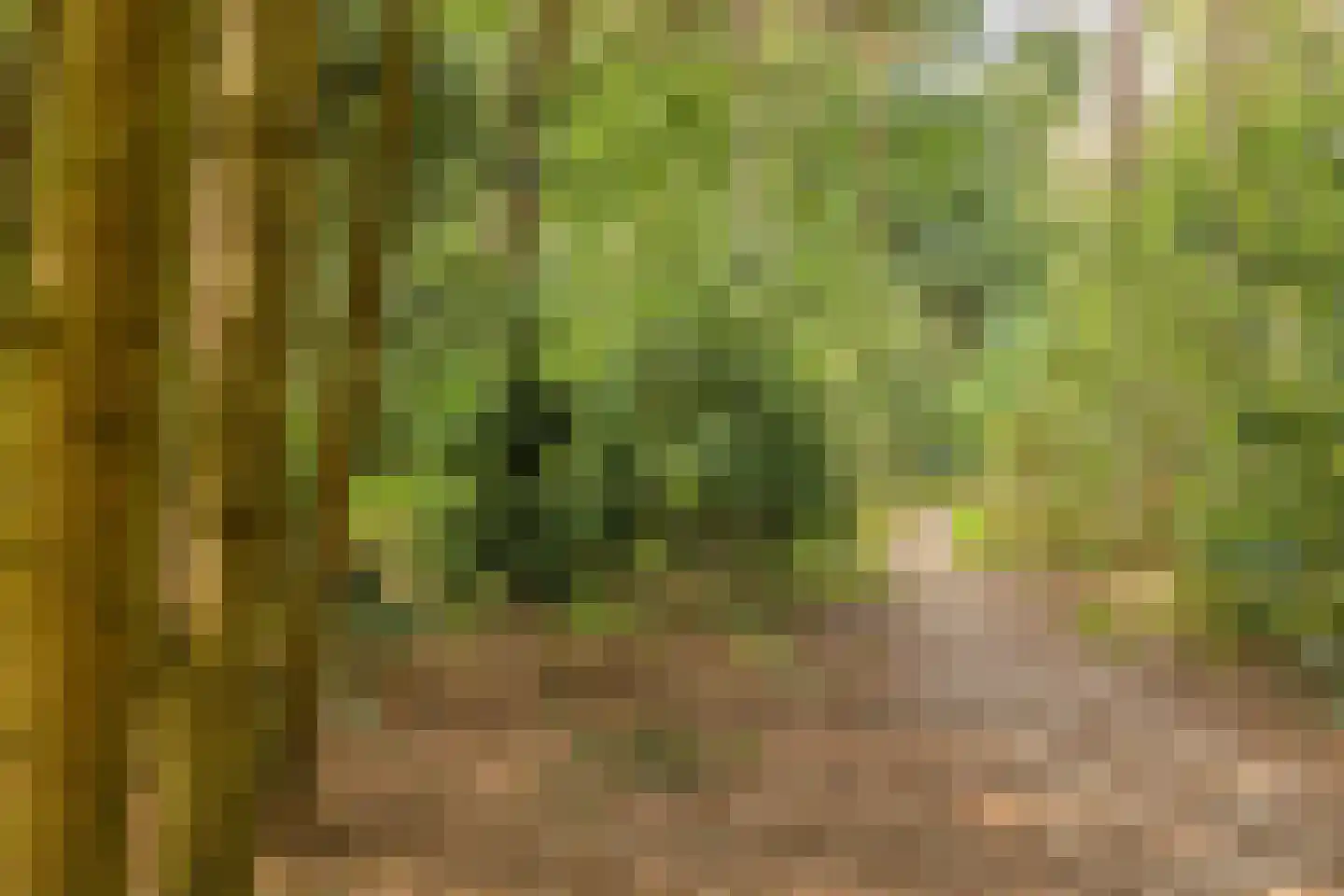 Wethouder Noordamweg 1 Maarn thumbnail 62